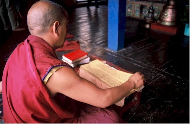 monk_reading