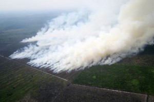 Indonesia says Singapore acting like a child over haze