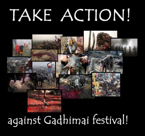 NEPAL-GADHIMAI-FESTIVAL-NOVEMBER