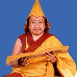 kyabjedagomrinpoche