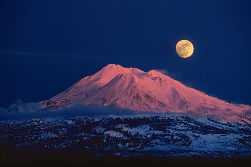 Shasta3